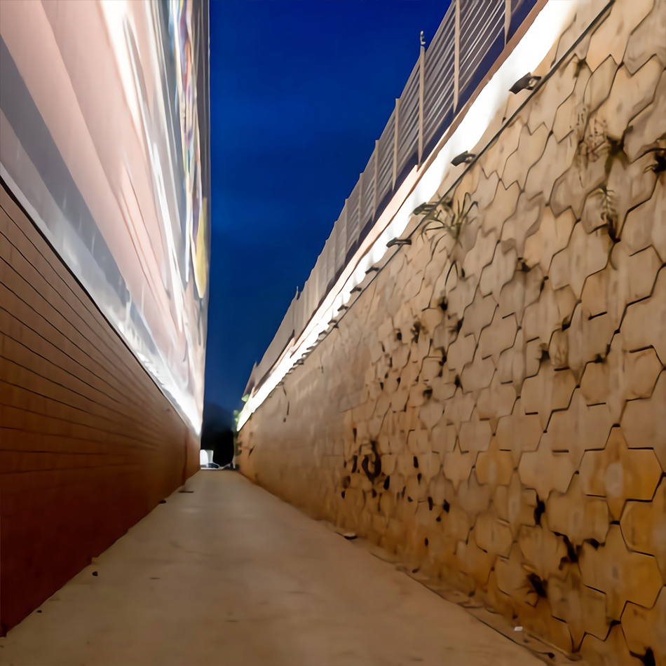 挑战：亮艺术品